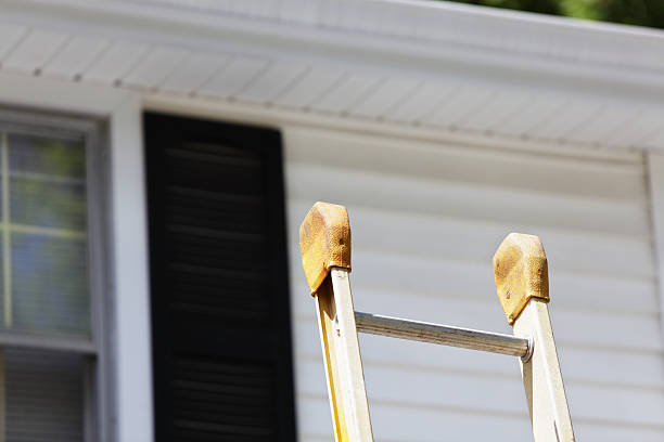 Best Historical Building Siding Restoration  in Laguna Niguel, CA